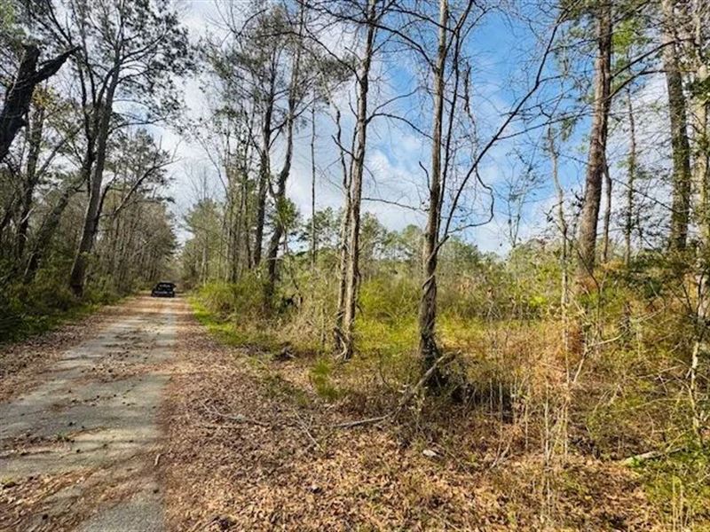 40 Acres Located On Fortenberry Dr : Columbia : Marion County : Mississippi