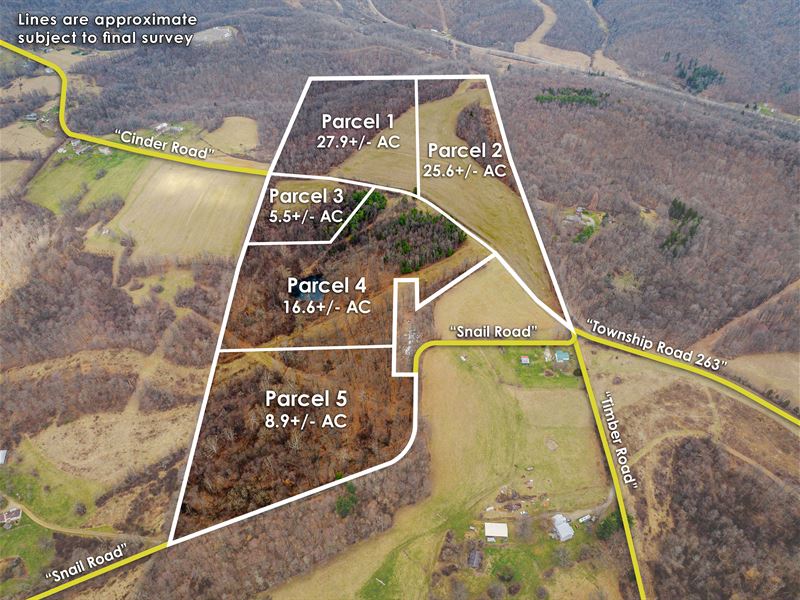 Cinder Rd 84 Acres, Minerals Auct : Carrollton : Carroll County : Ohio