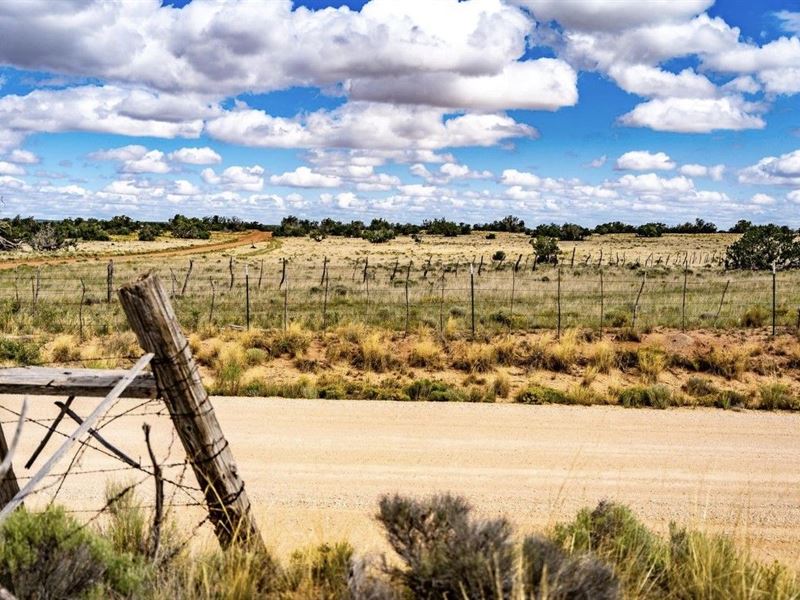 5 Acre Off-Grid Desert Paradise : Saint Johns : Apache County : Arizona