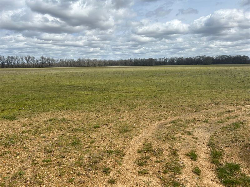 La, Catahoula 67 Acres : Harrisonburg : Catahoula Parish : Louisiana