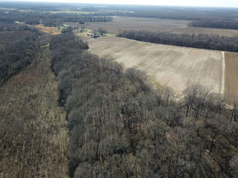 La, West Carroll 61 Acres : Oak Grove : West Carroll Parish : Louisiana