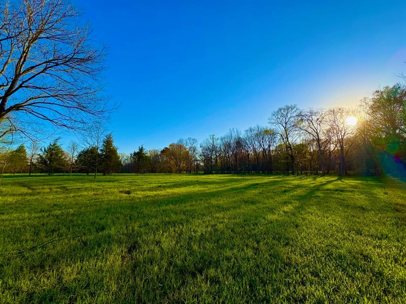 Stunning Meadows, Woods and Creeks : Pike Road : Montgomery County : Alabama