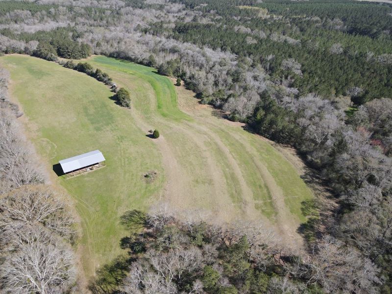 89 Acres Babbie Farm : Andalusia : Covington County : Alabama