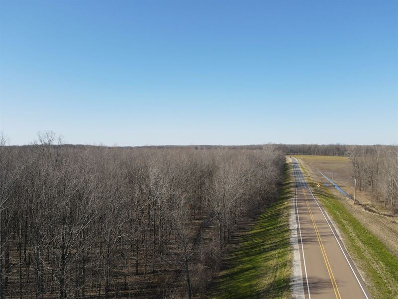 52.87 Acres in Sharkey County, MS : Rolling Fork : Sharkey County : Mississippi