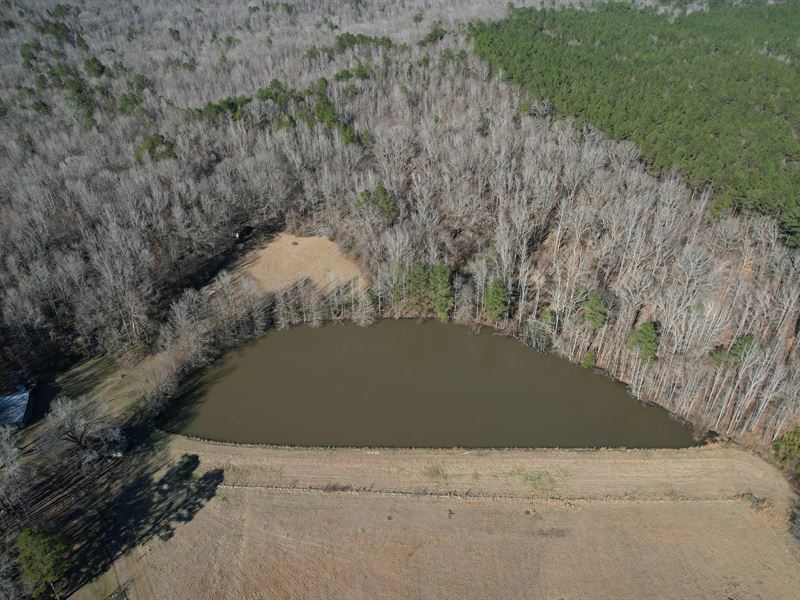 37.2 Acres with A Cabin in Holmes : Lexington : Holmes County : Mississippi