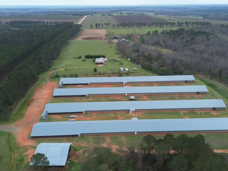 Upgraded 4 Hse Broiler Poultry Farm : Ellaville : Schley County : Georgia