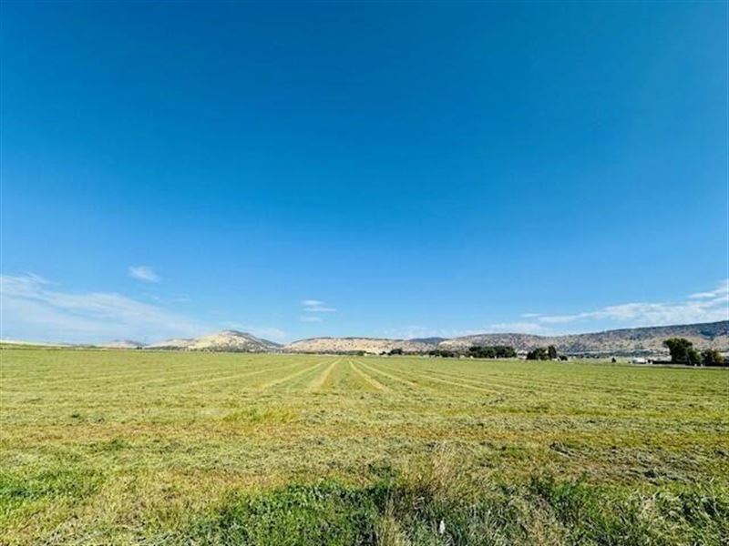 89.09 Acres, Level, Beautiful Views : Klamath Falls : Klamath County : Oregon