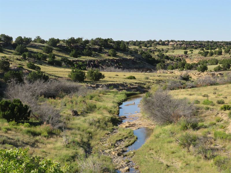 Bow & Arrow Ranch : Stonewall : Las Animas County : Colorado