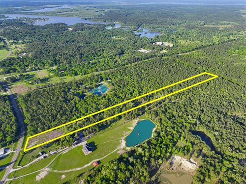 9.35 Acres, 38 FM 3454 : Huntsville : Walker County : Texas