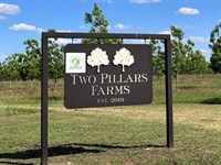 The Orchards of Two Pillars Farms : Hawkinsville : Pulaski County : Georgia
