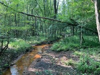 N Carter Rd Tract with Mobile Home : Luverne : Crenshaw County : Alabama