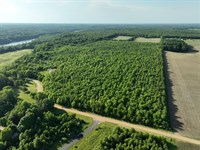 60 Acres Lake Chapin Rd Berrien : Berrien Springs : Berrien County : Michigan