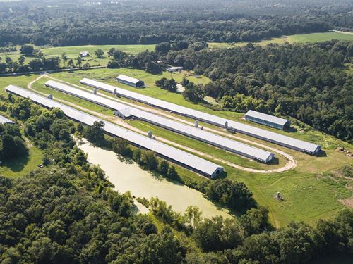 Georgia Poultry Farm for Sale : Coolidge : Thomas County : Georgia