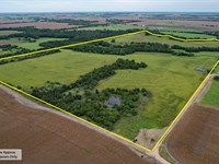 Olbrich's Pond Creek Farm : Rosebud : Falls County : Texas