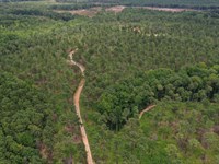 Equality Woodlands 2 : Equality : Coosa County : Alabama