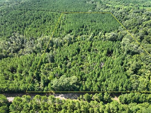 19 Acres, Sam Booker Road, 308027 : Mansfield : De Soto Parish : Louisiana