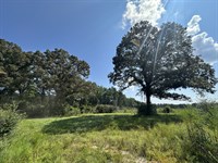 Old Ranch Road Tract : Escambia : Alabama