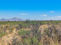 Edgy El Paso Dreams : Salt Flat : Hudspeth County : Texas