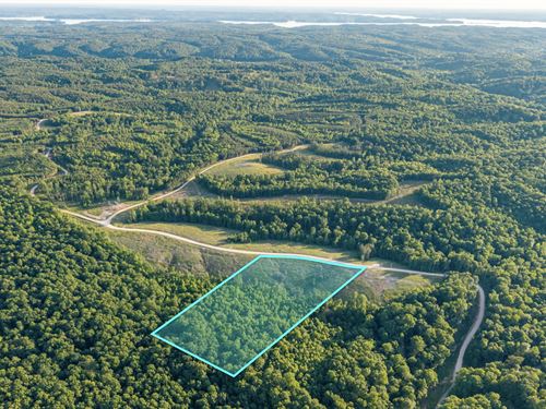 6.5 Wooded Acres, Access & No HOA : Indian Mound : Stewart County : Tennessee