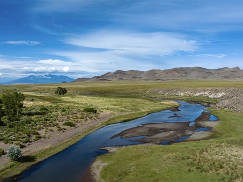 137 Riverfront Acres + Custom Home : Sanford : Conejos County : Colorado