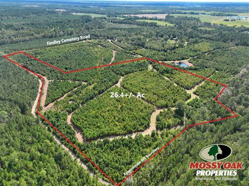 26.4 Ac Land For Sale Findley : Lyons : Toombs County : Georgia
