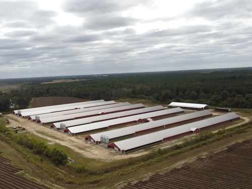 New 8 House Broiler Poultry Farm : Rochelle : Wilcox County : Georgia