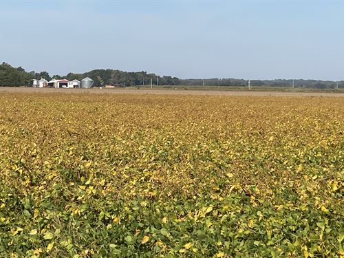 Prime 104 Acre Irrigated Farmland : Jonesboro : Craighead County : Arkansas