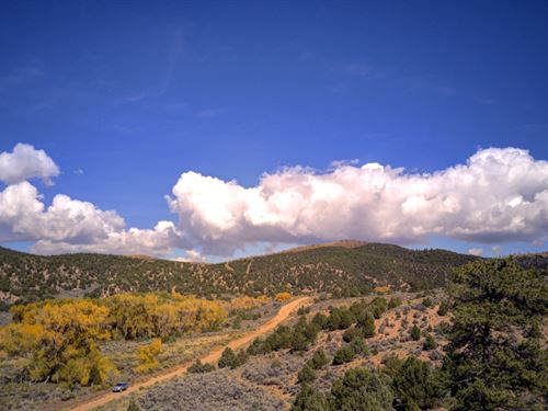Huge Lot with Views & Trees : Fort Garland : Costilla County : Colorado