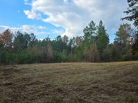 Moses Ln 40 : Prentiss : Jefferson Davis County : Mississippi