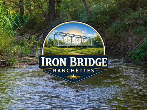 13 Acres, Providence Road, T-8 : Calvert : Robertson County : Texas