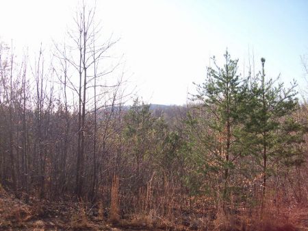 24 Unrestricted Acres W/well&septic : Marion : McDowell County : North Carolina