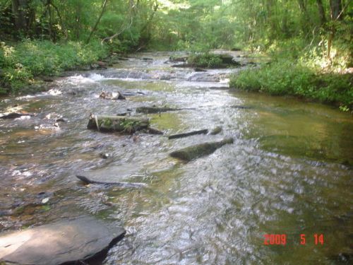 123+/- Ac Off Hwy. 22, Farm for Sale in Alabama, #48458 : FARMFLIP