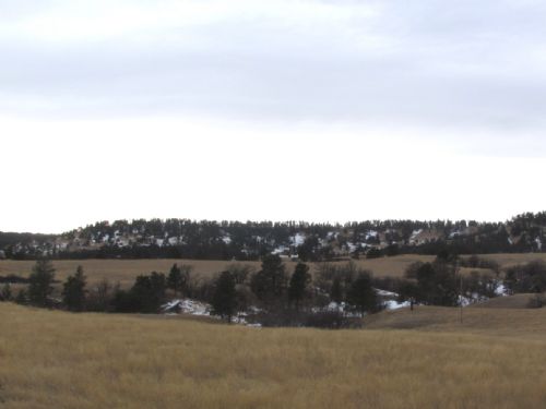 Elkhorn Creek Ranch : Hulett : Crook County : Wyoming