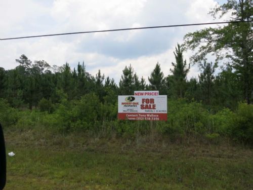 53 Acres in Hilliard Fl, Farm for Sale in Florida, #53581 : FARMFLIP