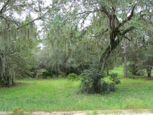 2.5 Acres W/ Well, Septic & Power, Farm for Sale in Florida, #54857 ...