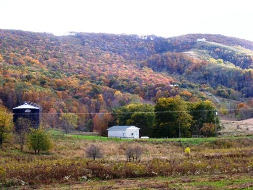 Lugar Springs Farm Of Monroe Co. Wv : Gap Mills : Monroe County : West Virginia