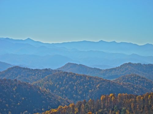 High Elevation Mountain Land : Spruce Pine : Mitchell County : North Carolina