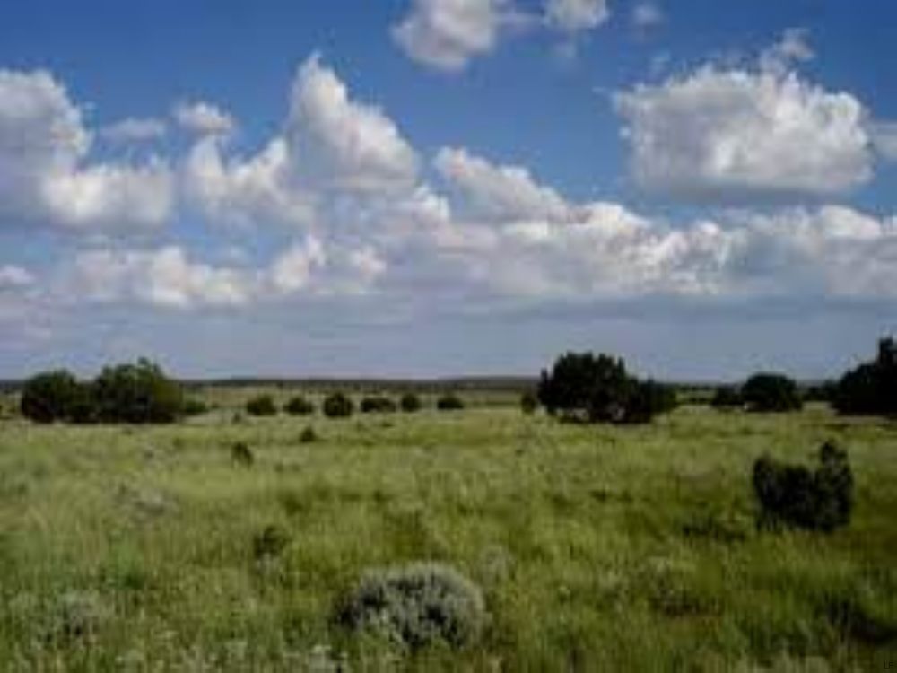 Snowflake Arizona Ranch Foreclosure : Snowflake : Navajo County : Arizona