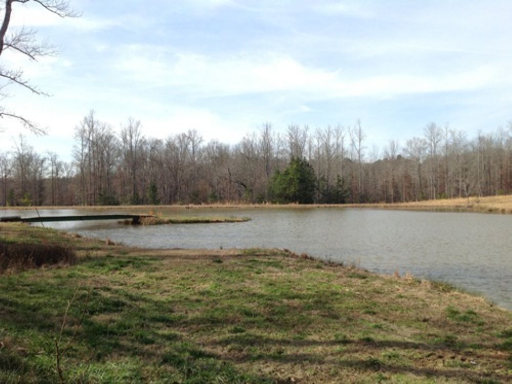 Farming/recreational Land with Pond, Farm for Sale in Georgia, #58920 ...