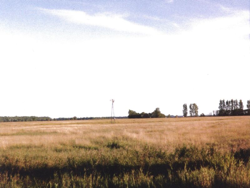 North Dakota Crp Farm Land : New Rockford : Eddy County : North Dakota