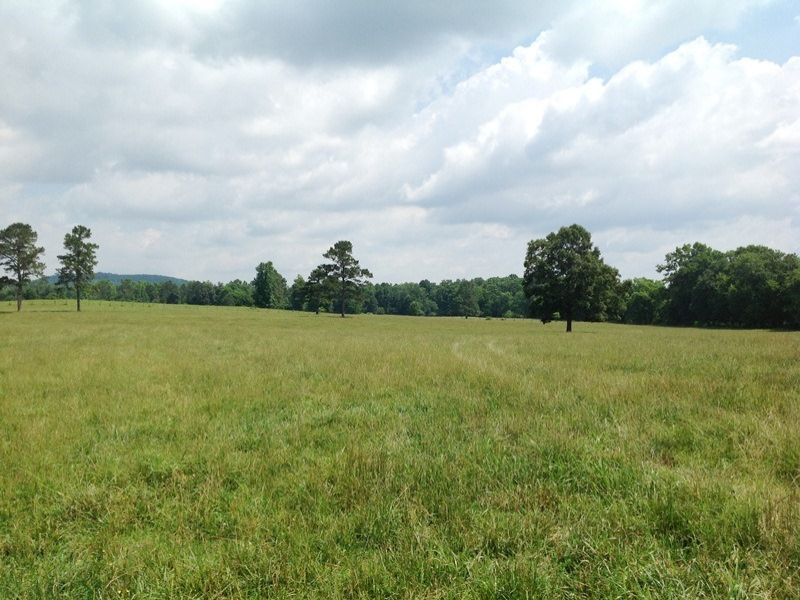 Working Cattle Farm Farm for Sale in Summerville, Chattooga County