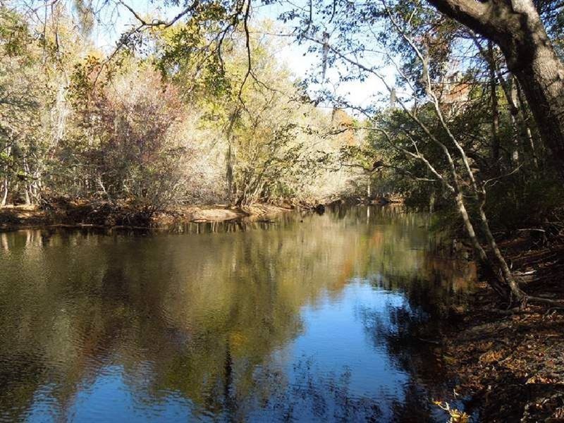 Black River, Farm for Sale in South Carolina, 64984 FARMFLIP