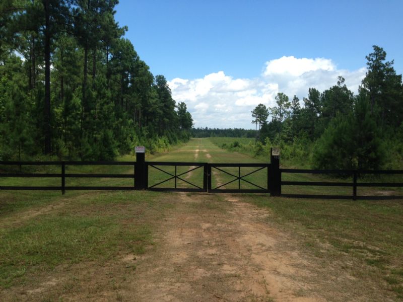 40+ Acres - Great Getaway, Farm for Sale in Georgia, #65652 : FARMFLIP