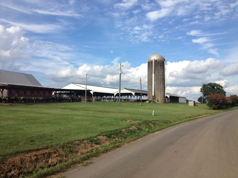 660 Acre Dairy Farm in Bedford, Va : Huddelston : Bedford County : Virginia