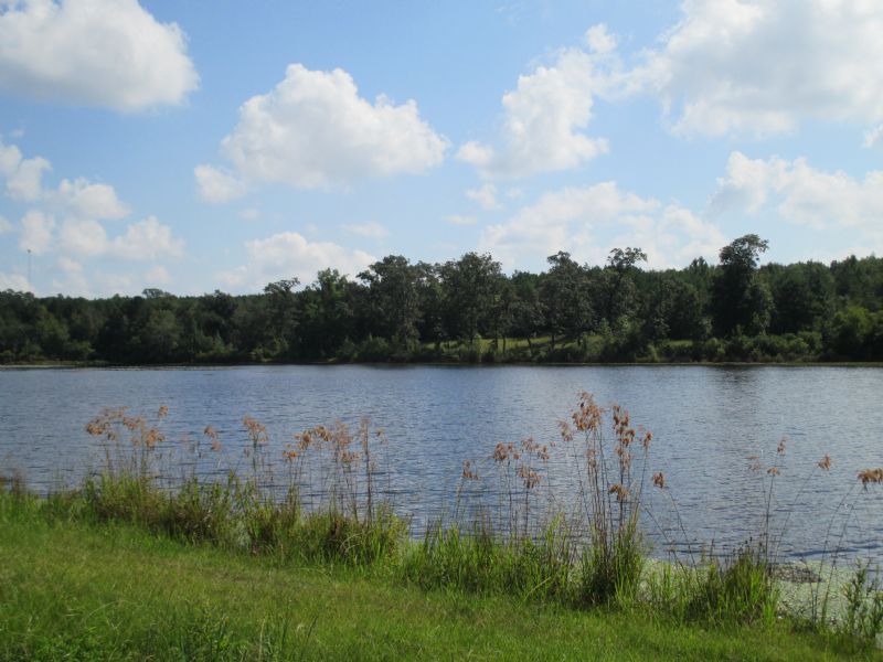 Mule Creek Preserve 20 Acre Pond : Byron : Peach County : Georgia