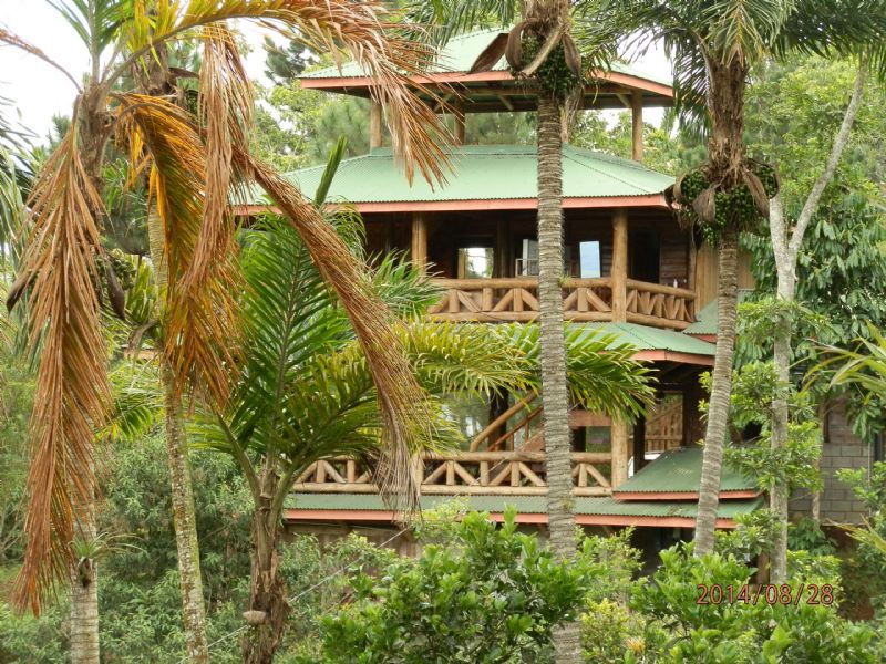 Small Organic Farm W/ Log Cabin, Farm for Sale in Costa Rica, 79144