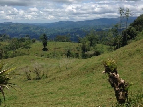 Costa Rica Farms for Sale : FARMFLIP