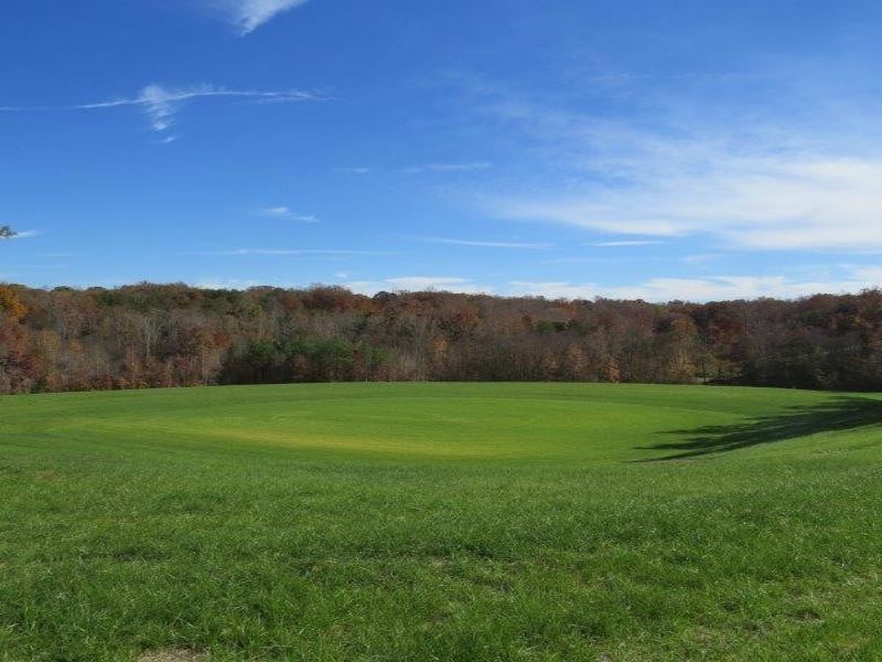 500± Acre North Carolina Farm, Farm for Sale in North Carolina, 80459