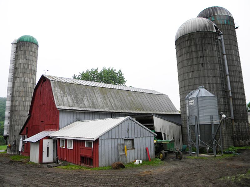 Operating Dairy Farm Farmhouse : Solon : Cortland County : New York