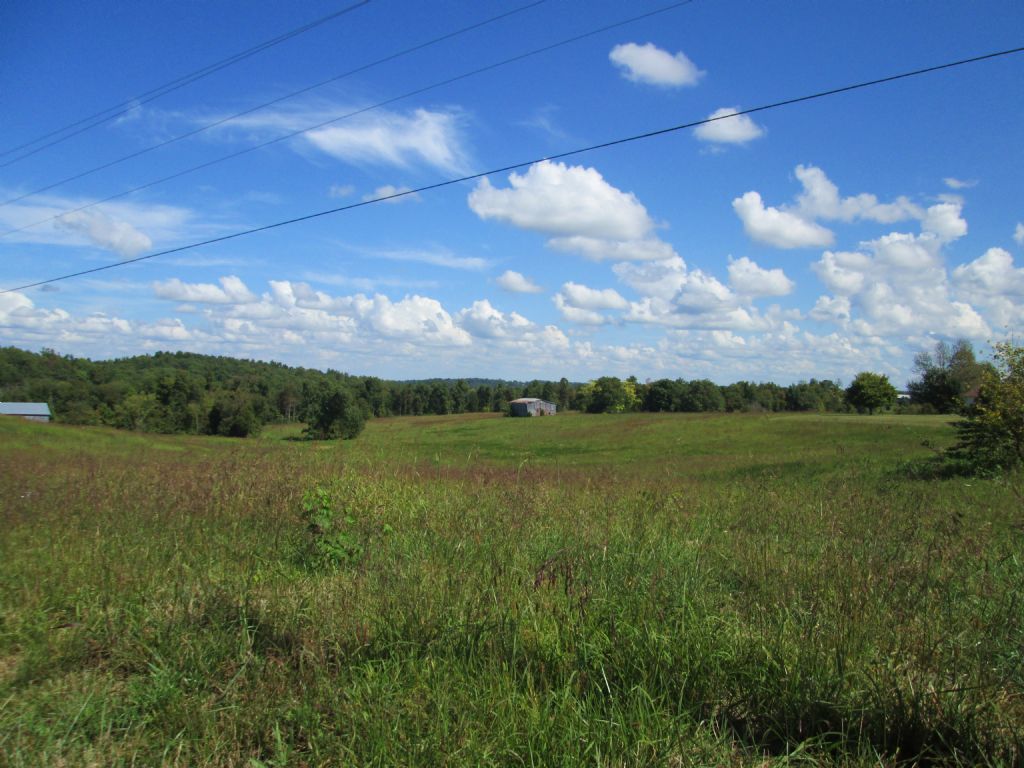 46 Acres, Farm for Sale in Kentucky, #82290 : FARMFLIP